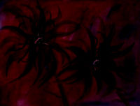 Original Oil by Grace Moore