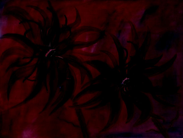 Original OIl - Large and Loose Magenta Flowers
