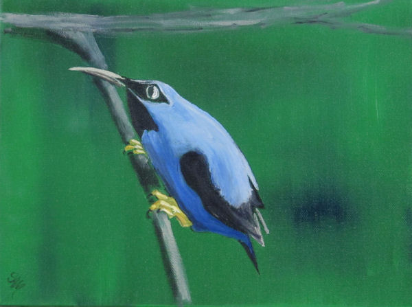 Original Oil Painting by Grace Moore - Blue Bird on a green background