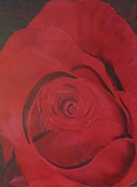 Original Oil by G.A. Moore - Closeup Red Rose