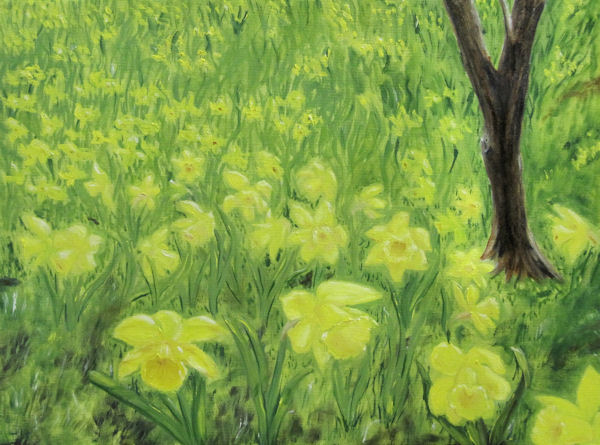 Oil of Field of Daffodils by Grace Moore