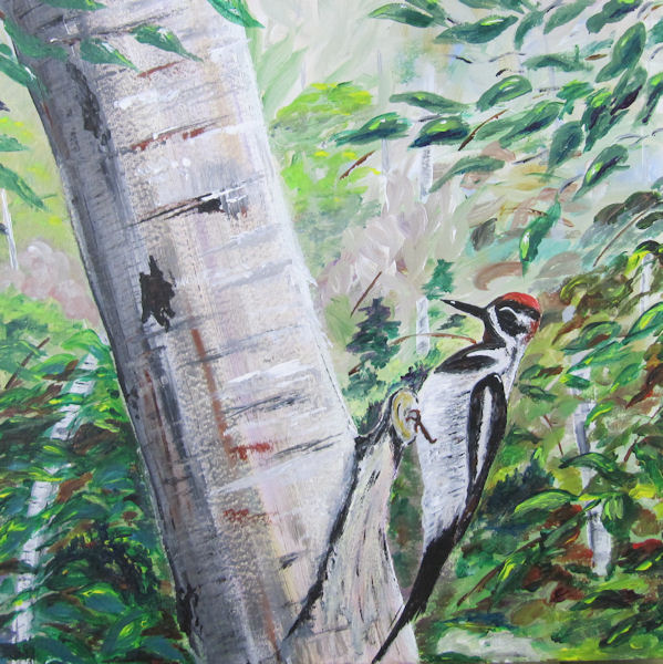 Red Headed Woodpecker on a Birch Tree by G.A.Moore